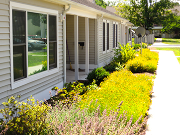 plantings