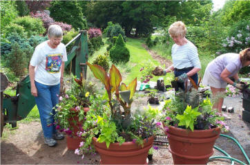 volunteers planting planters