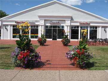 downtown Glastonbury planters