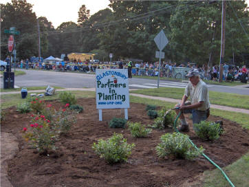Village Green plantings