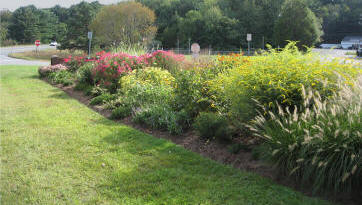 flower bed