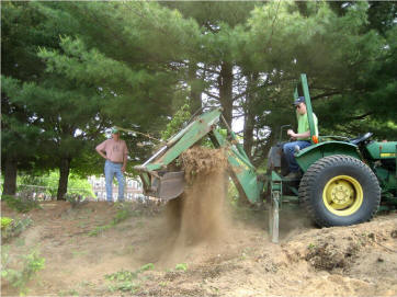 tearing out yew plants
