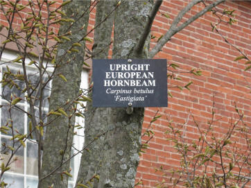 tree markers, scientific names